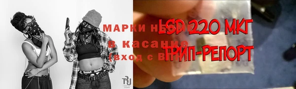 дживик Абаза