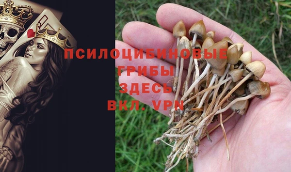 тгк Абинск