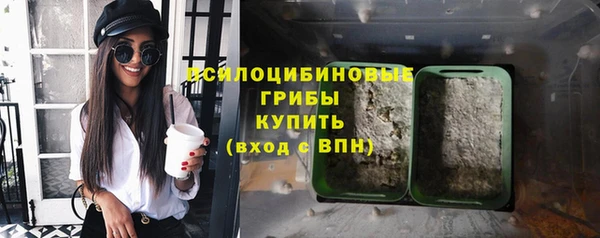 тгк Абинск